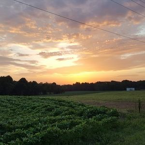 Meet your Posher, Kenneth